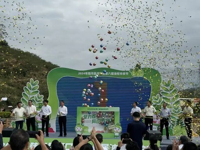 小油柑帶動大致富，汕尾陸河田墩變“甜”墩
