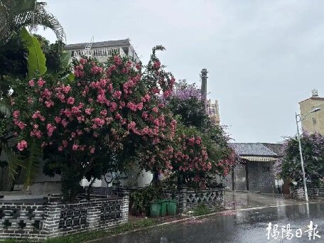 揭陽各鎮(zhèn)街多舉措齊發(fā)力，擦亮城市文明底色